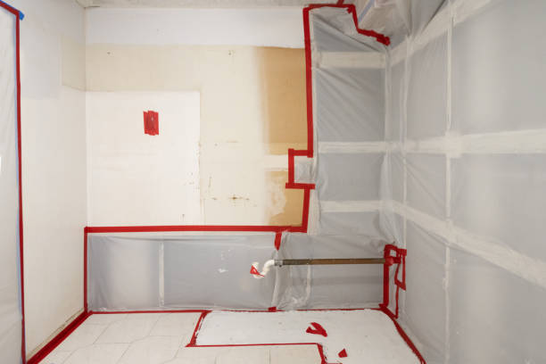 Best Forensic Mold Investigation  in USA